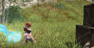 フリートライアル画像